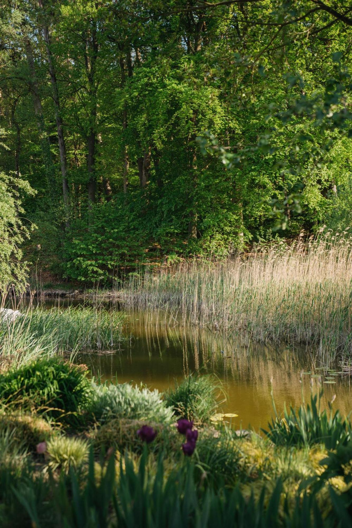 Muehle Tornow Am Wentowsee Kültér fotó